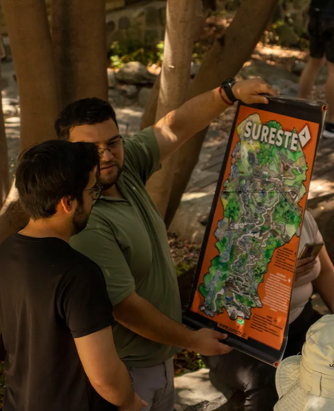 preguntas frecuentes team building