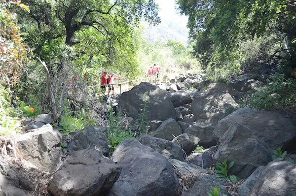 varias personas haciendo trekking