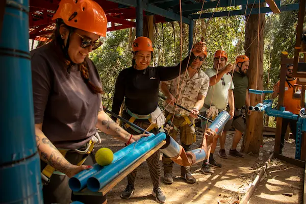 varias personas en circuito colaborativo