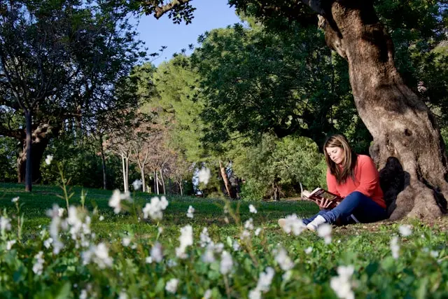 mujer leyendo bajo un arbol
