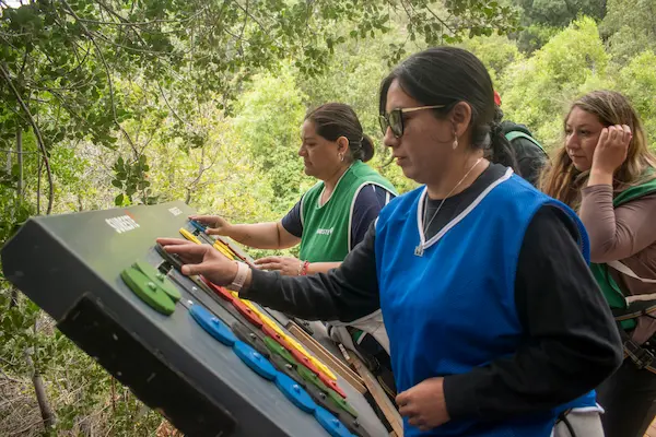 tres personas en actividad al aire libre