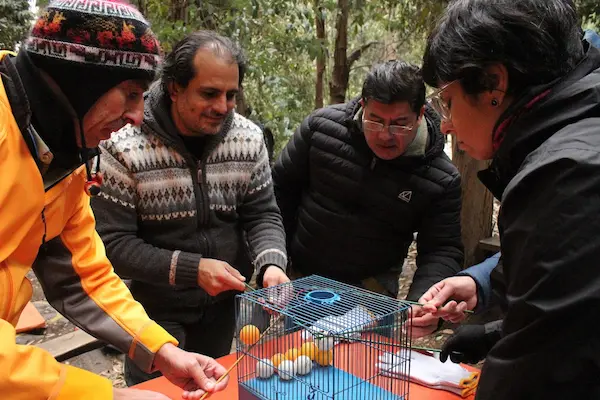 cuatro personas en actividad al aire libre
