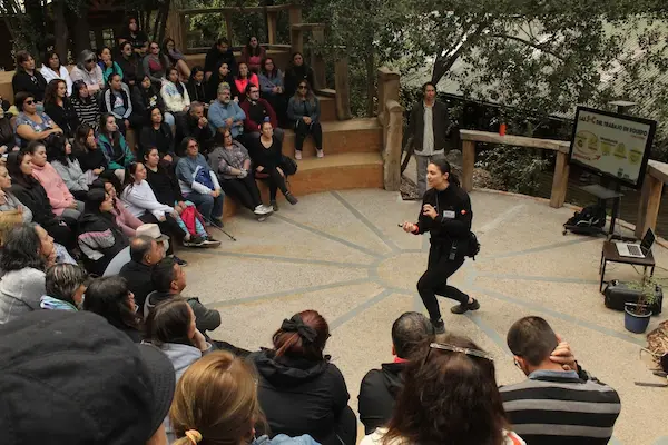 cohesion-de-los-equipos-de-trabajo