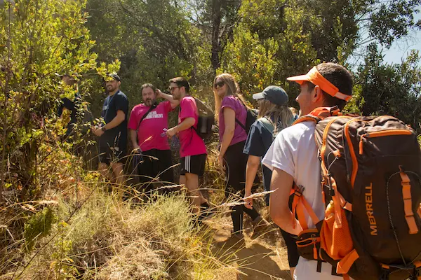 Oportunidades para mejorar el desempeño laboral en las organizaciones actuales
