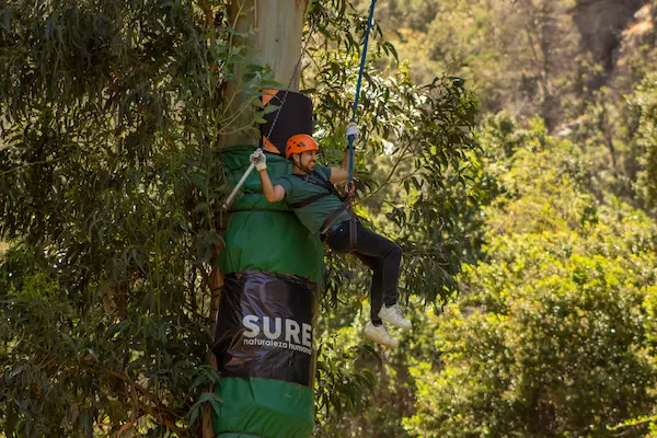 El debate constructivo