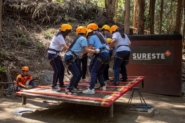 ¿Qué son las estrategias de aprendizaje y por qué son importantes?