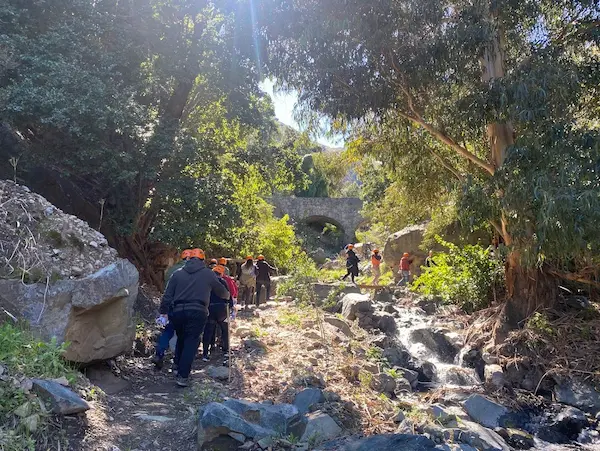 Sendero Bosque de Peumos