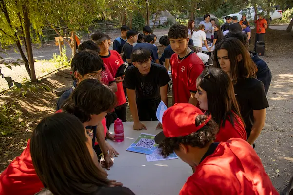 uso de ejemplos reales