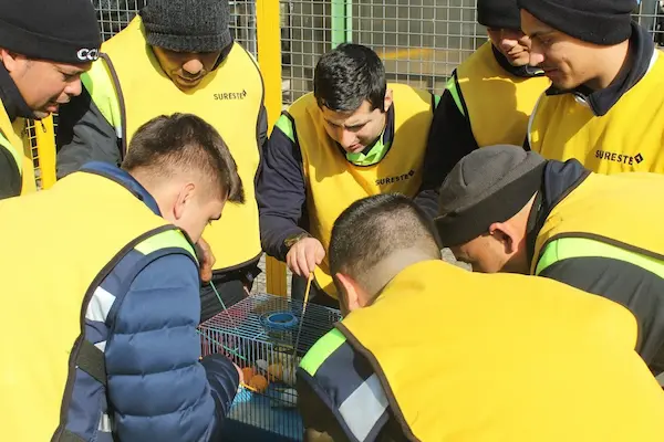 Comunicacion efectiva en el trabajo en 2026