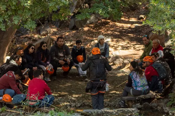 14. Liderazgo afiliativo