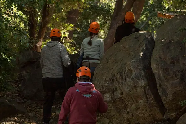 El futuro del trabajo colaborativo en las organizaciones