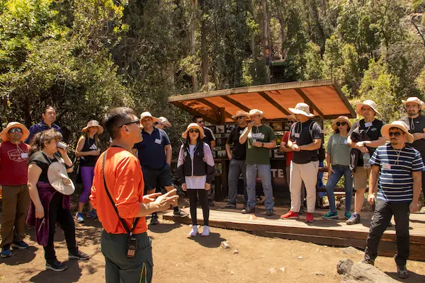 Experiencia comprobada