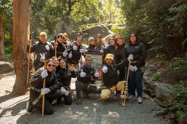 Liderazgo transformacional y actividades de integración