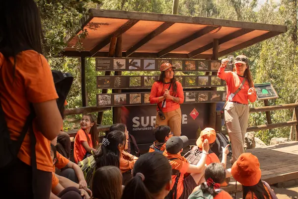 Cómo organizar un buen Día del alumno