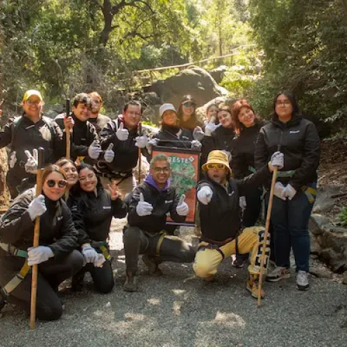 Liderazgo transformacional y actividades de integración-